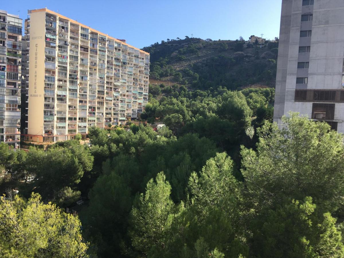 貝尼多姆Apartamento Corazon De Monte Carlo公寓 外观 照片